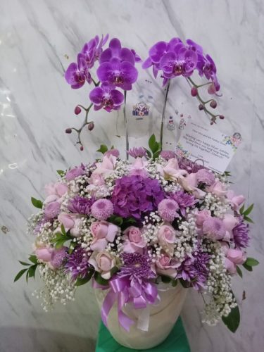 WhatsApp-Image-2026-06-06-at-07.30.56-2