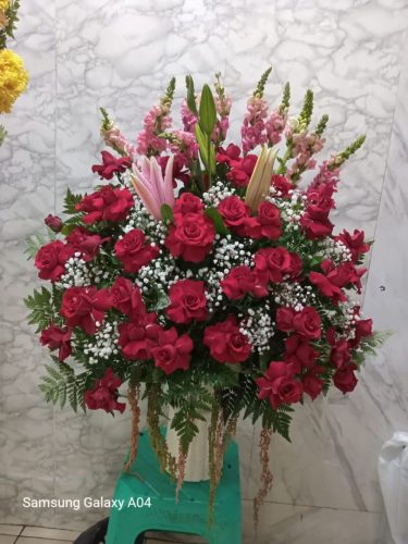 WhatsApp-Image-2026-06-06-at-07.31.00