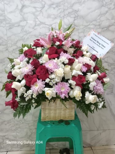 WhatsApp-Image-2026-06-06-at-07.31.03