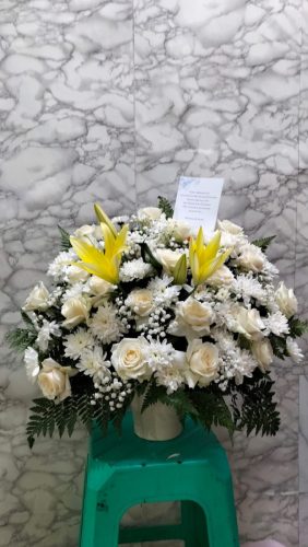 WhatsApp-Image-2026-06-06-at-07.31.09-2